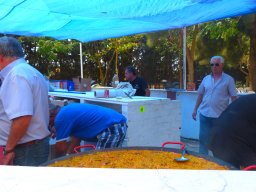 XIX Concentracion - 2012